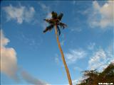 Green Beach - VIEQUES